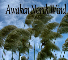Awaken North Wind