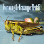 Overcoming the Grasshopper Mentality