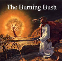 Burning Bush, The